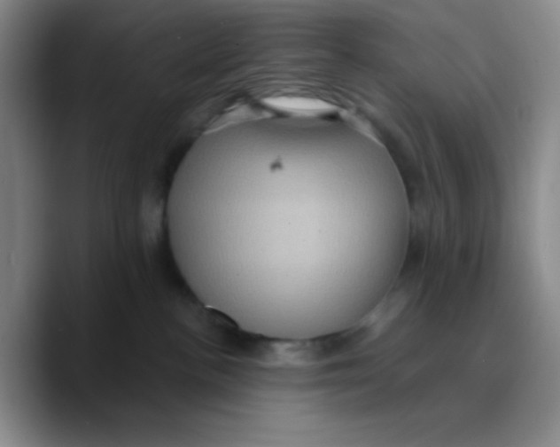 X0000089700188200707201748