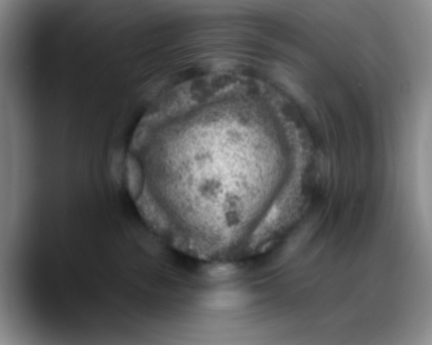 X0000089700189200707201748