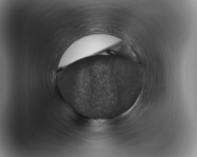 X0000089700192200707201748