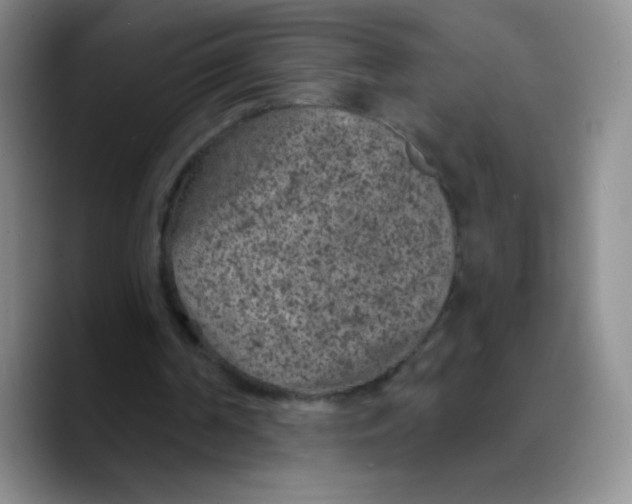 X0000089700194200707201747