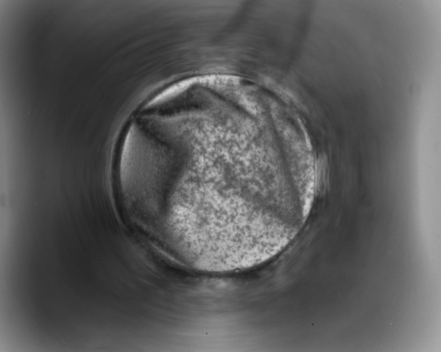 X0000089700195200707201747