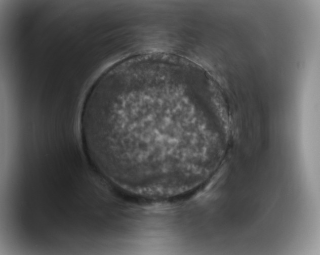 X0000089700196200707201747