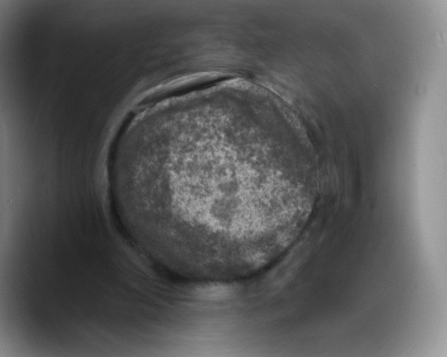 X0000089700198200707201747