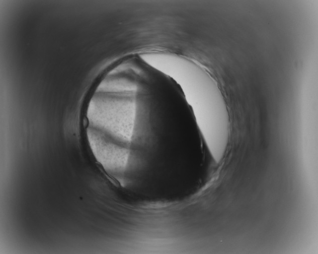 X0000089700200200707201747