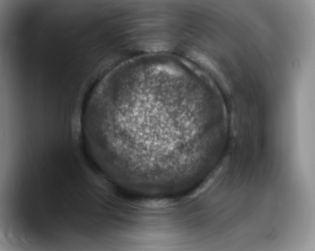 X0000089700202200707201747