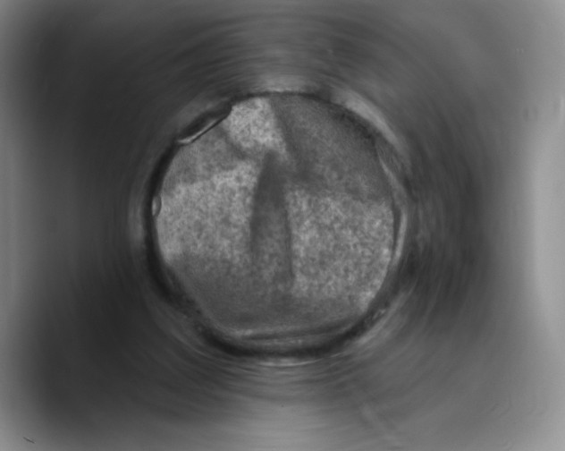 X0000089700203200707201747