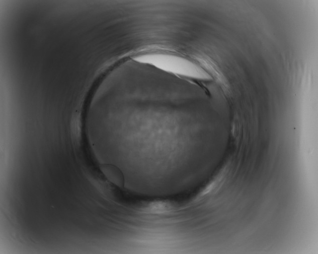 X0000089700204200707201747
