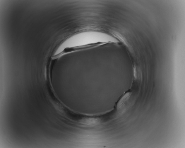 X0000089700205200707201747