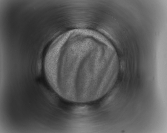 X0000089700206200707201747