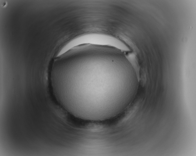 X0000089700207200707201747