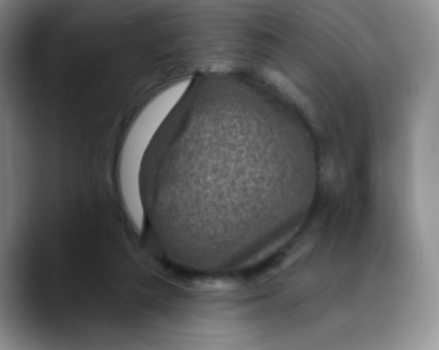 X0000089700209200707201747
