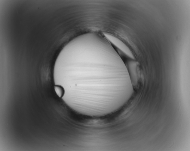 X0000089700212200707201747