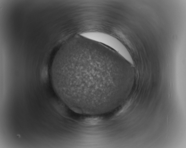 X0000089700213200707201747