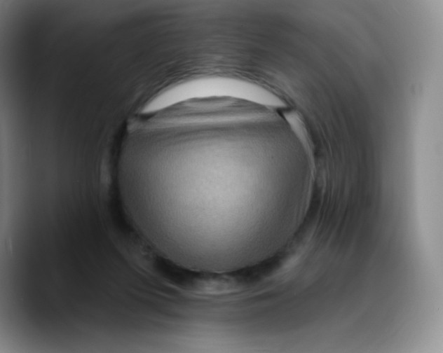 X0000089700215200707201747
