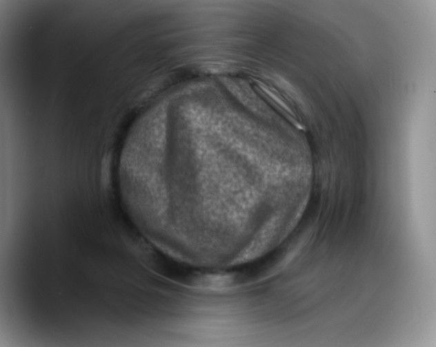 X0000089700217200707201747