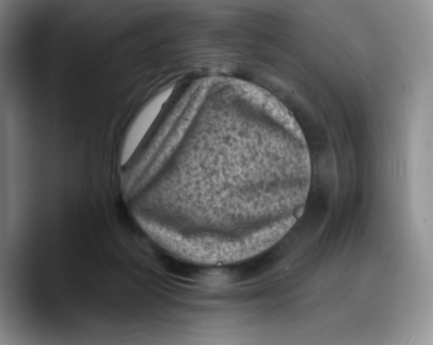 X0000089700218200707201747