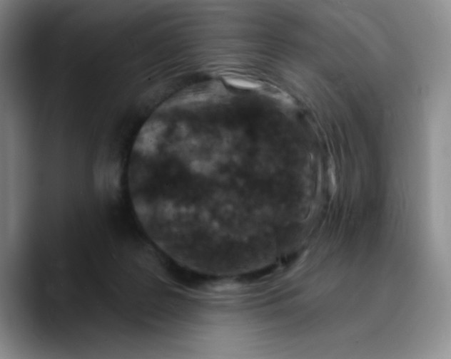 X0000089700219200707201747