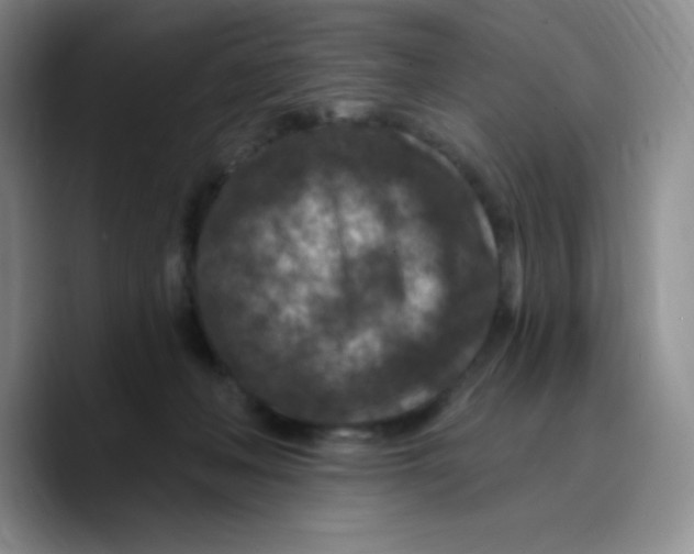 X0000089700222200707201747