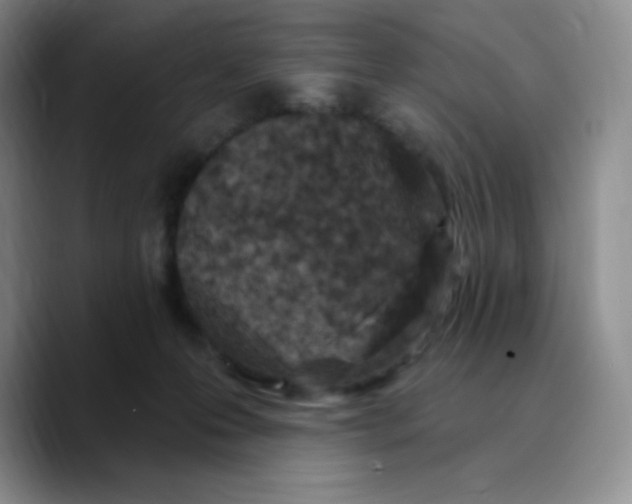 X0000089700223200707201747