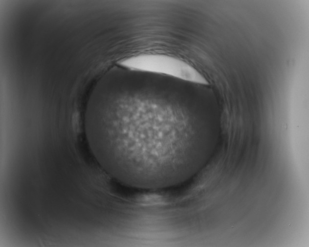 X0000089700224200707201747
