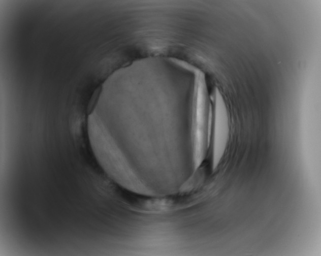 X0000089700225200707201747