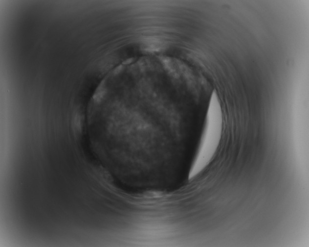 X0000089700227200707201747