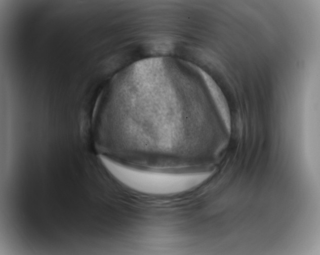 X0000089700228200707201747