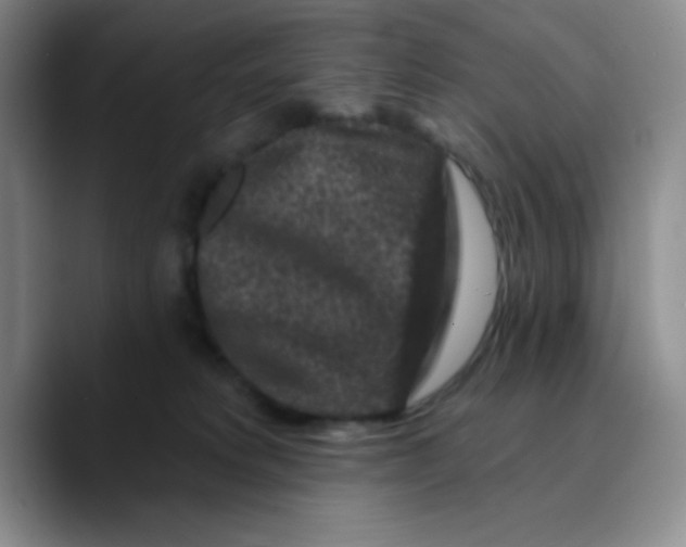 X0000089700229200707201747
