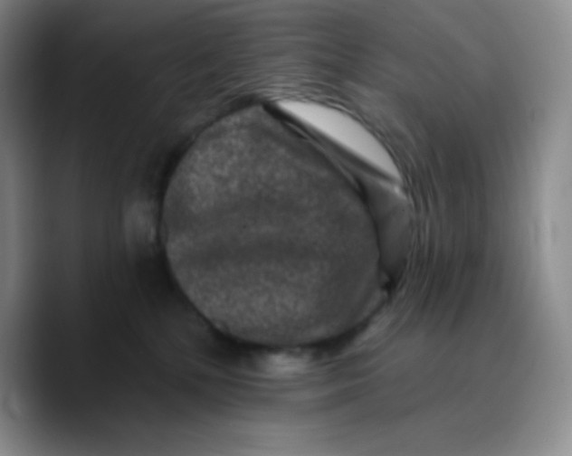 X0000089700232200707201747
