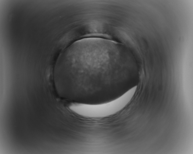 X0000089700233200707201747