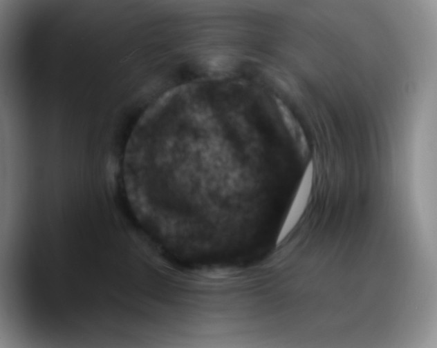 X0000089700235200707201747
