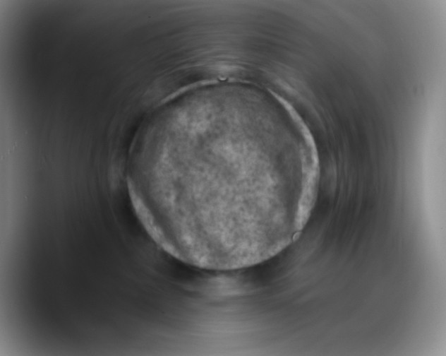 X0000089700236200707201747