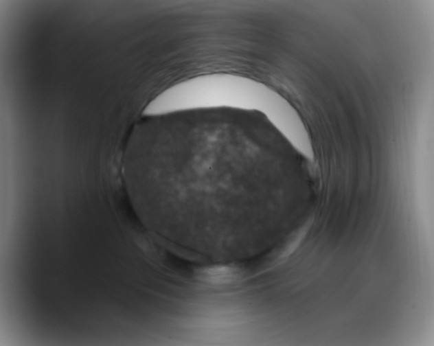 X0000089700237200707201747