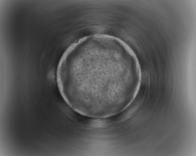 X0000089700238200707201747