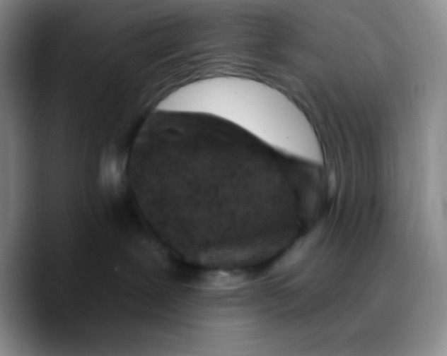 X0000089700239200707201746