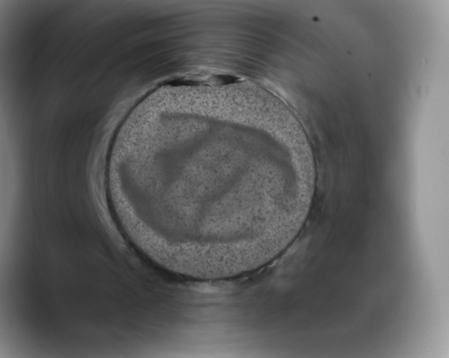 X0000089700241200707201746