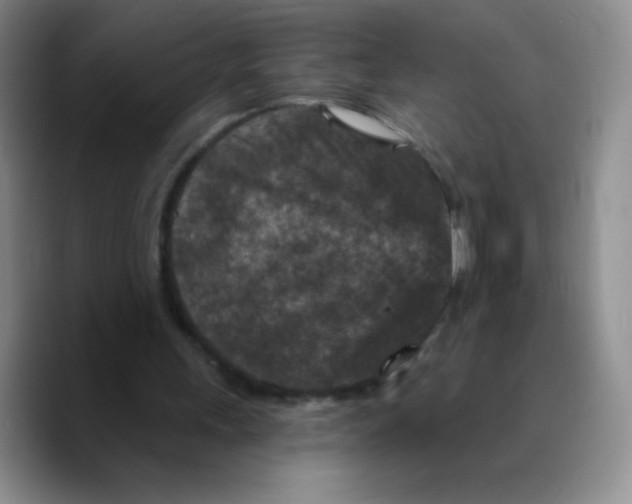 X0000089700243200707201746