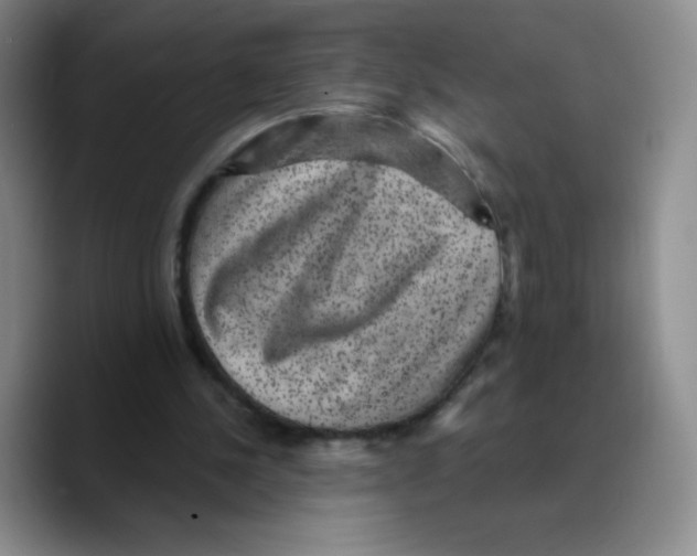X0000089700244200707201746
