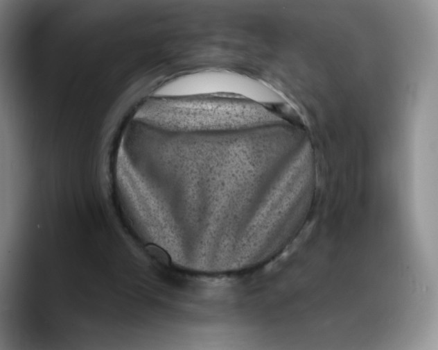X0000089700245200707201746