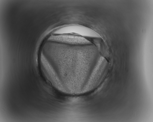 X0000089700246200707201746