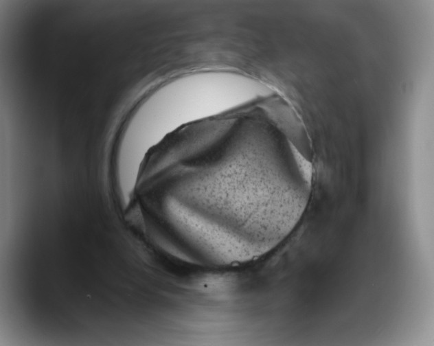 X0000089700248200707201746