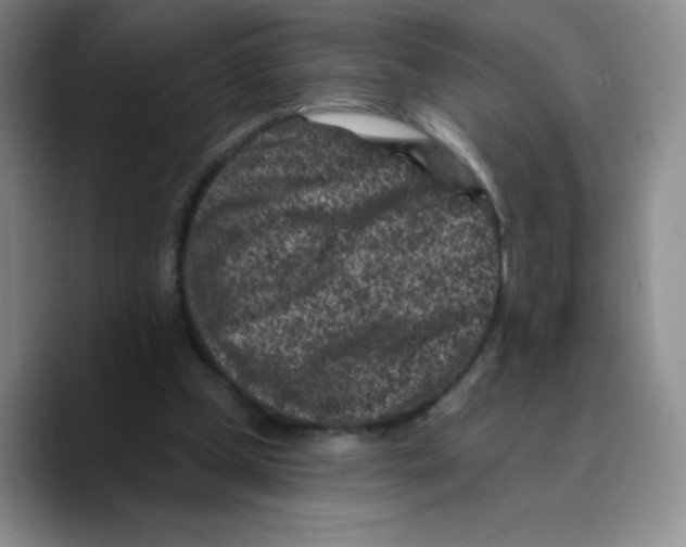 X0000089700249200707201746