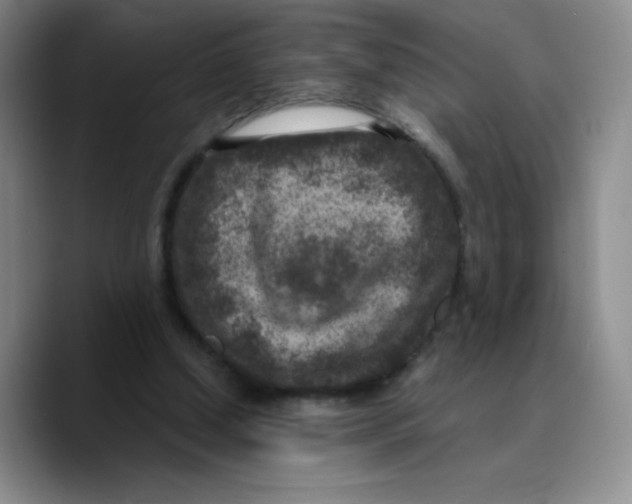 X0000089700250200707201746