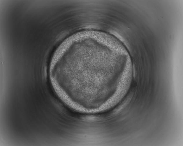 X0000089700253200707201746