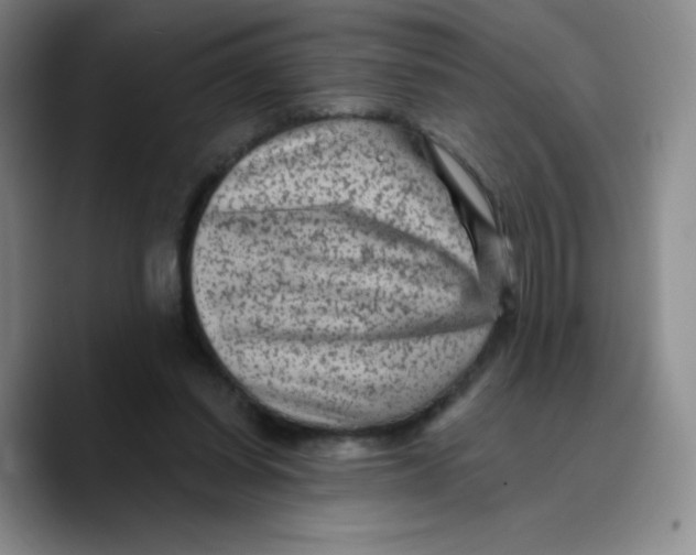 X0000089700254200707201746