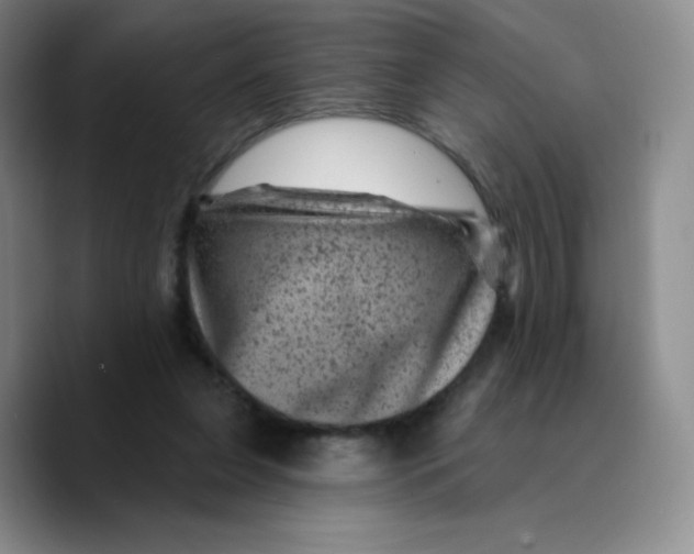 X0000089700255200707201746