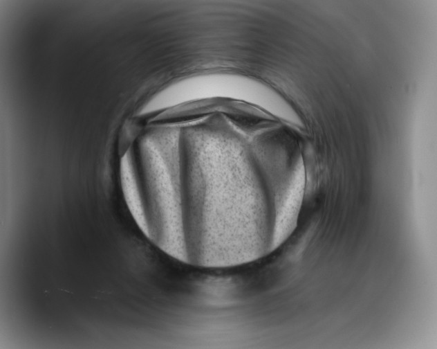 X0000089700256200707201746