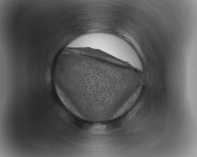 X0000089700257200707201746