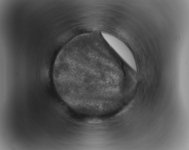X0000089700258200707201746
