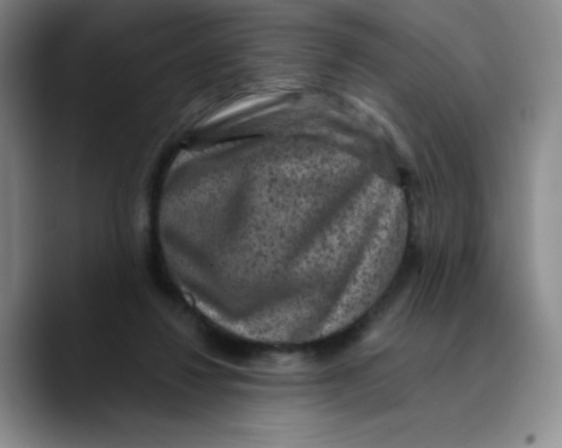 X0000089700260200707201746